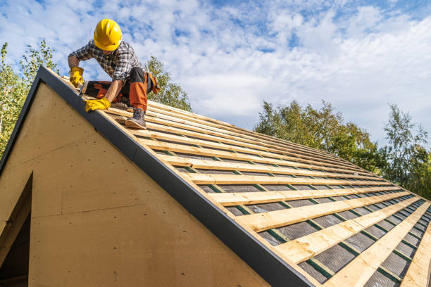 Best Roof Gutter Cleaning  in Grandview Plaza, KS